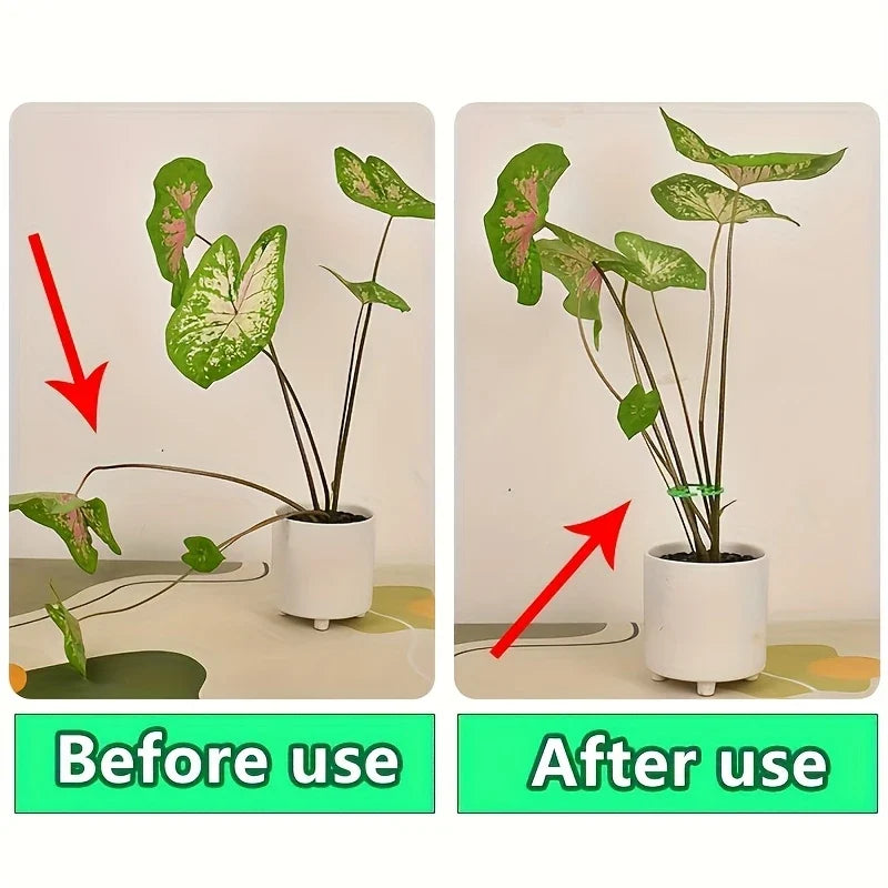 2PCS Turtle Shell Plant Stem Support Clips for Climbing Plants