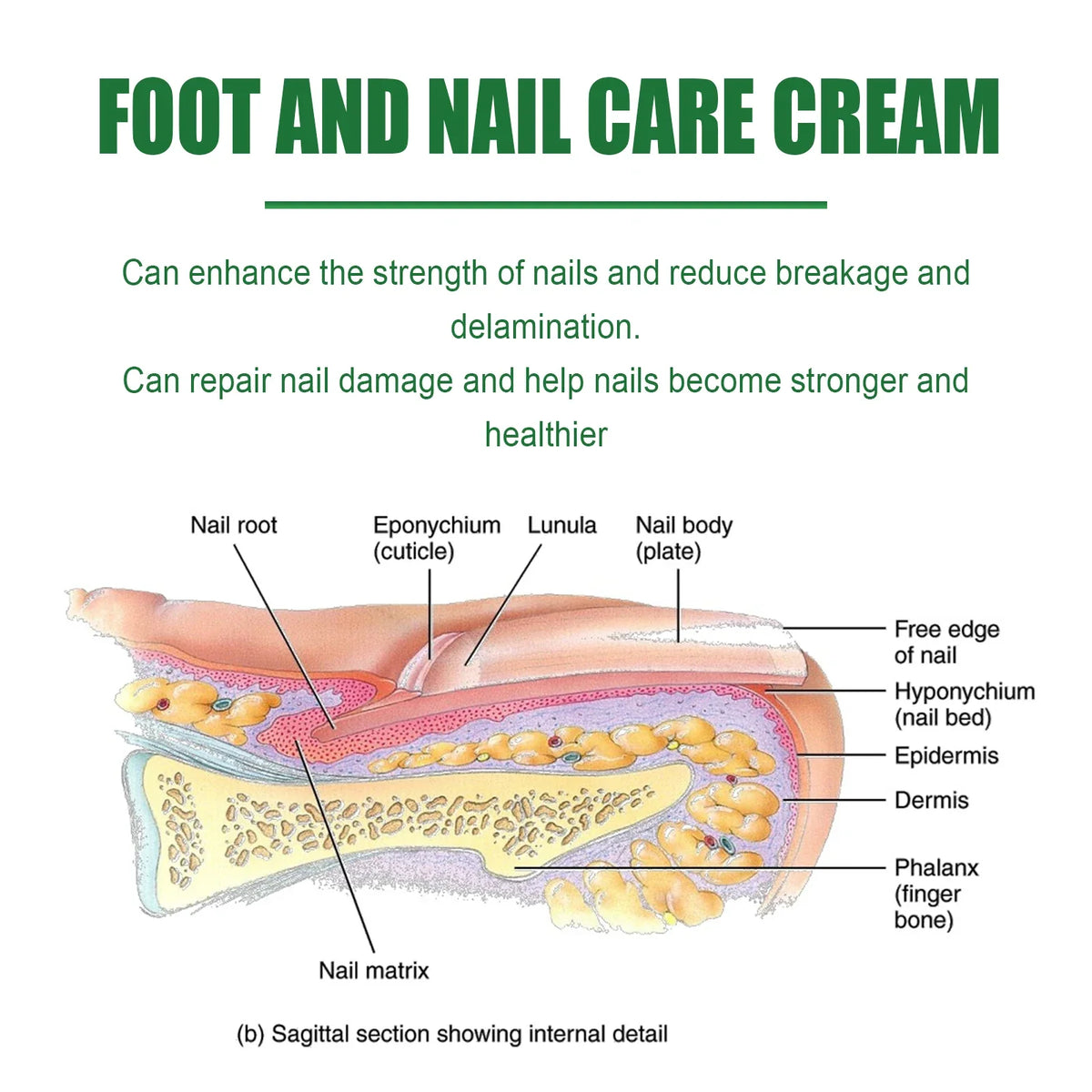 Nail & Cuticle Care Cream – Glycerin & Mineral Oil 50g