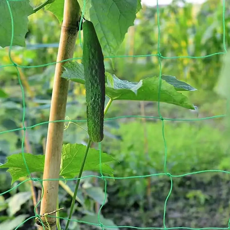 9Strands Plant Climbing Netting Cucumbers Vines Fruits Vegetables