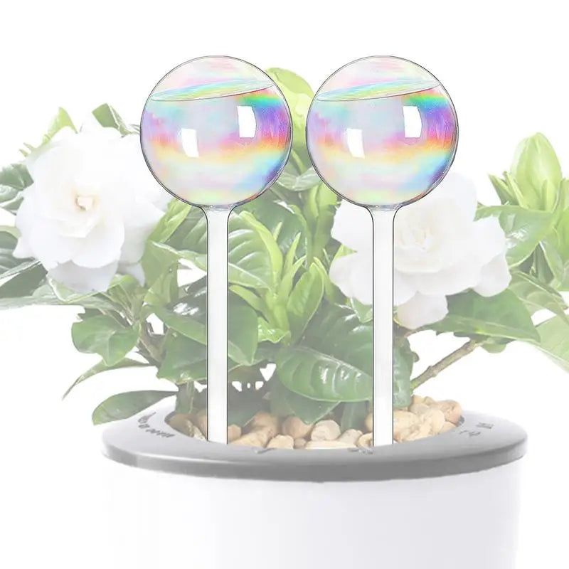 Plant Watering Globes Rainbow Gradient Automatic Bulbs Clear Flower