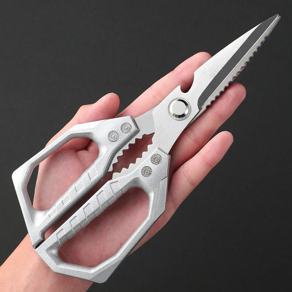 5-Layer Stainless Steel Kitchen Scissors with Lid | Herb Cutter
