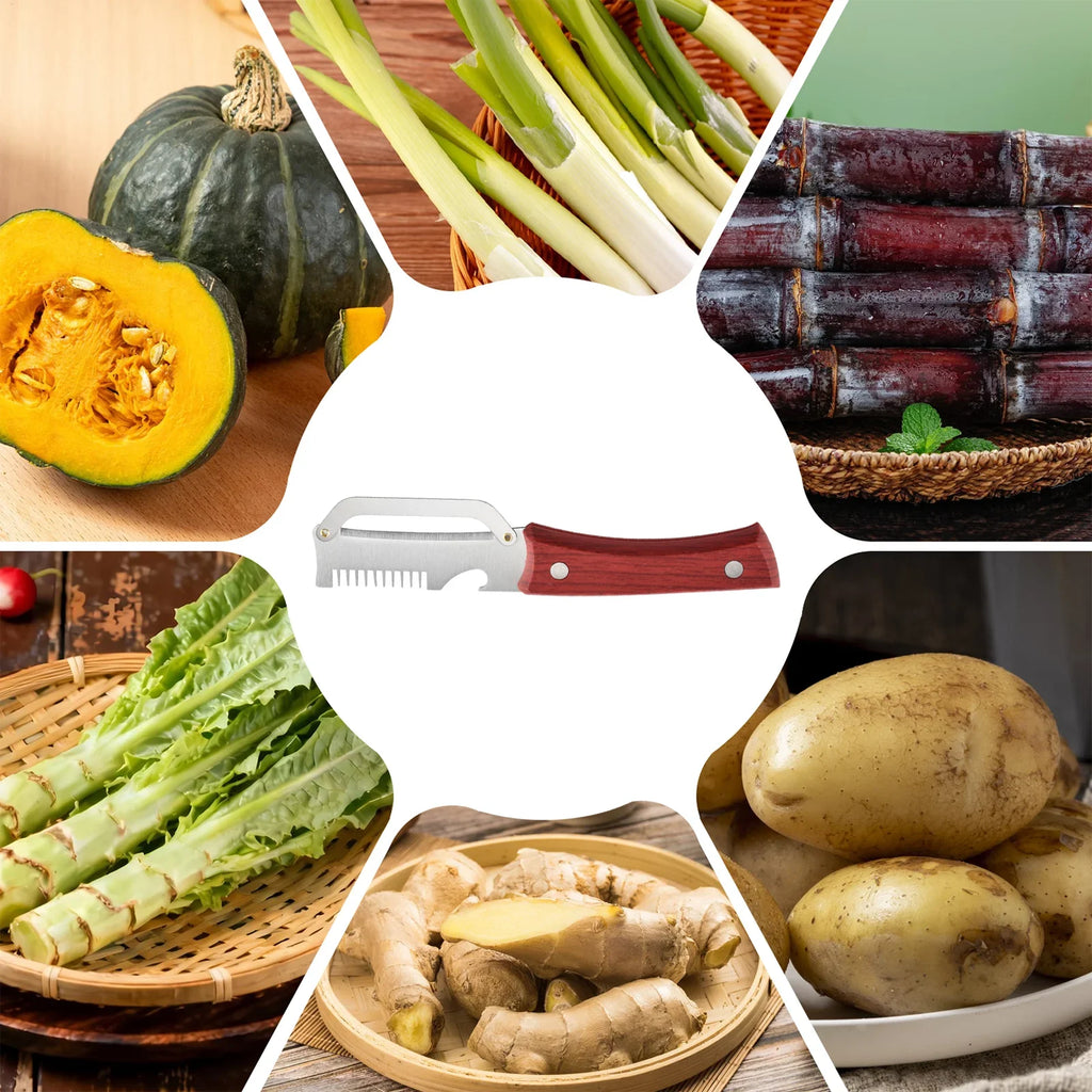 Stainless Steel Vegetable Peeler & Scallion Cutter – 2-in-1