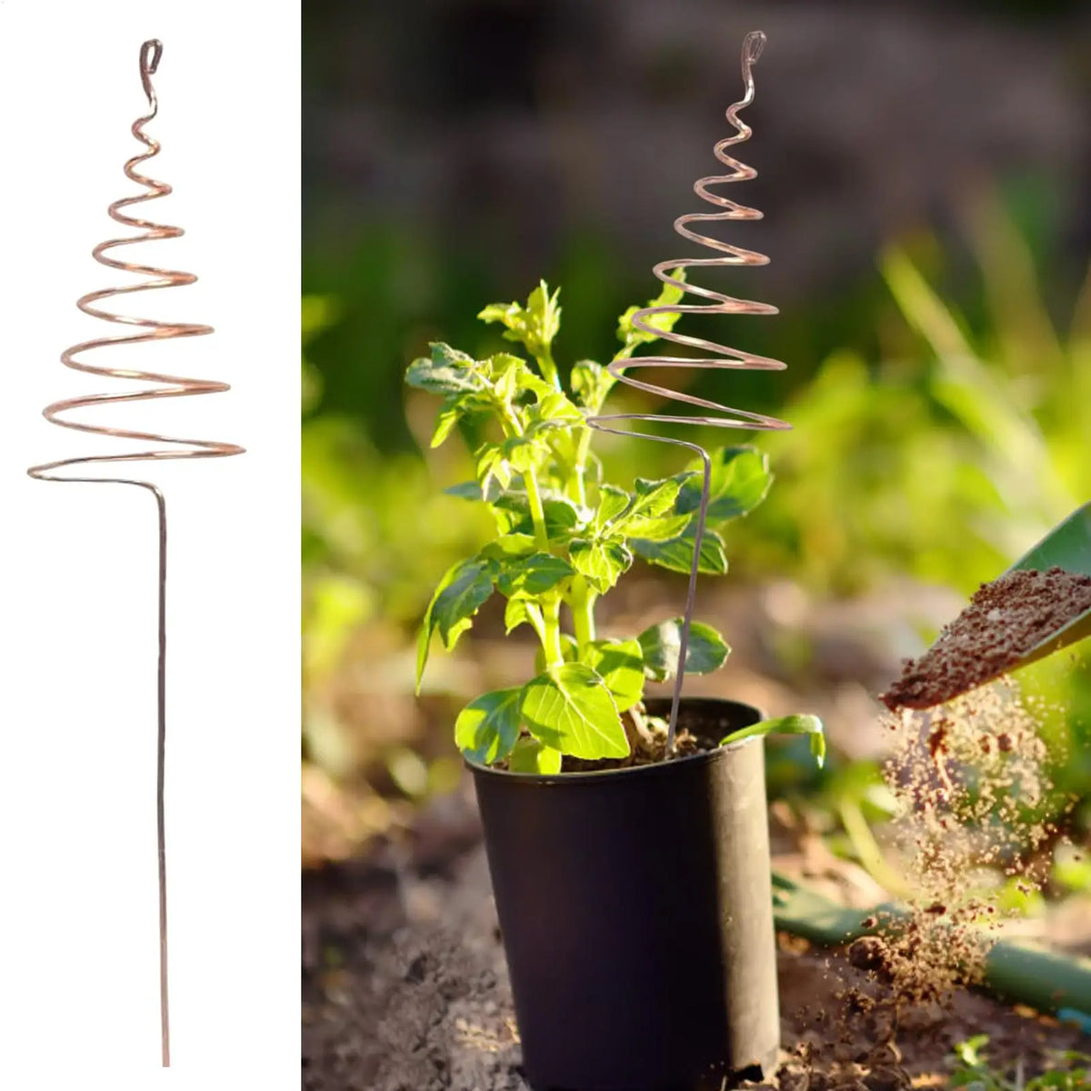 Copper Garden Stakes 6-Pack | Spiral Plant Support Rods