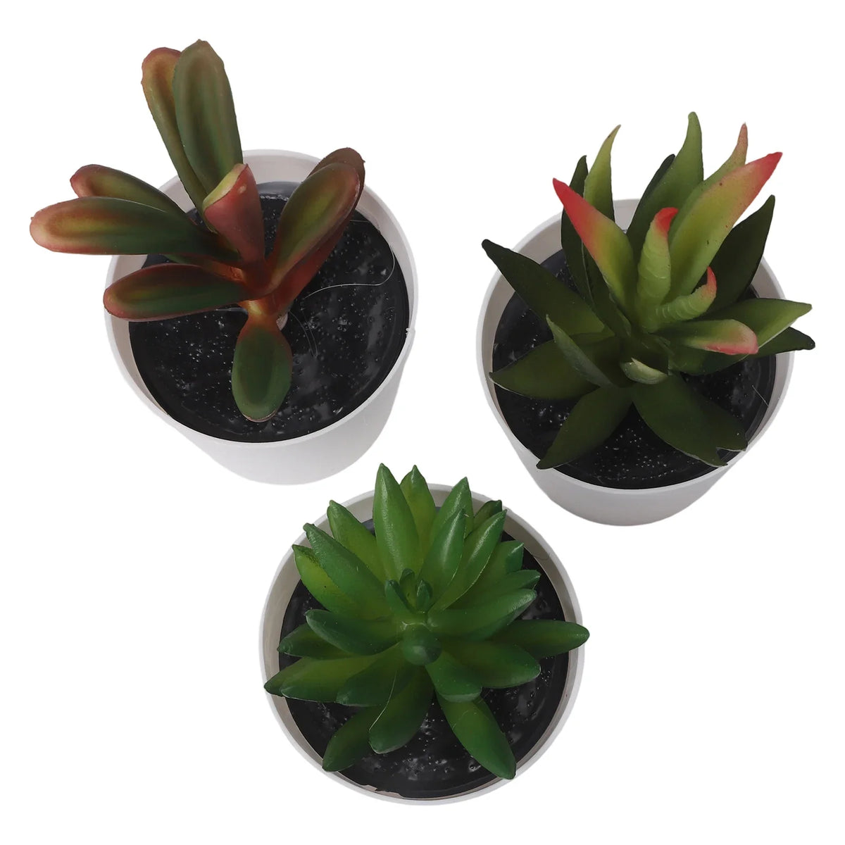 Artificial Succulent Bonsai Set of 3 – Faux Desktop Decor