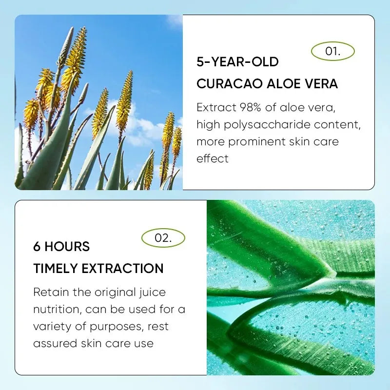 REAROYA Aloe Lip Balm – Hydrating, Moisturizing & Crack Repair