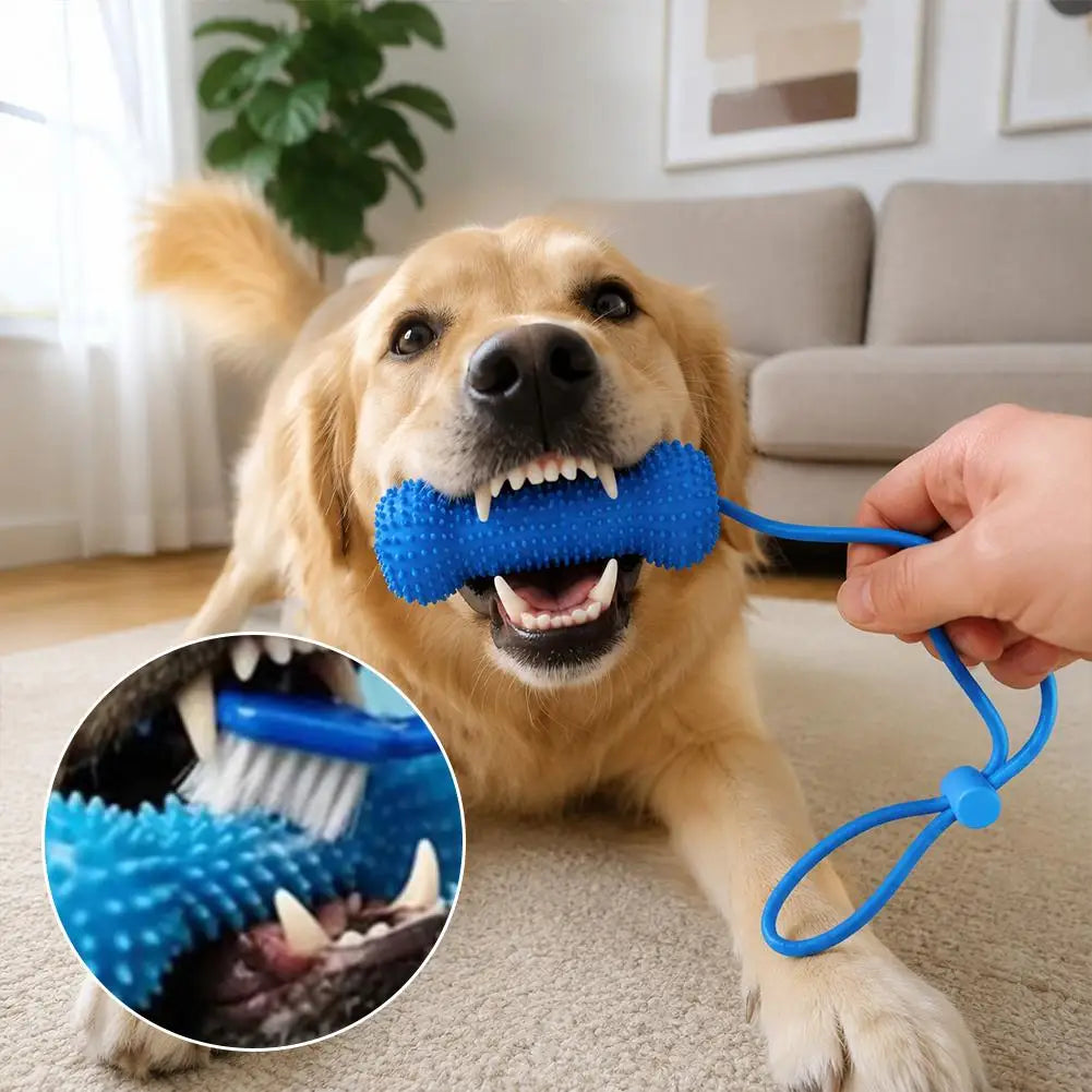 Dog Dental Chew Toy with Rope – TPR Molar Stick for Dogs