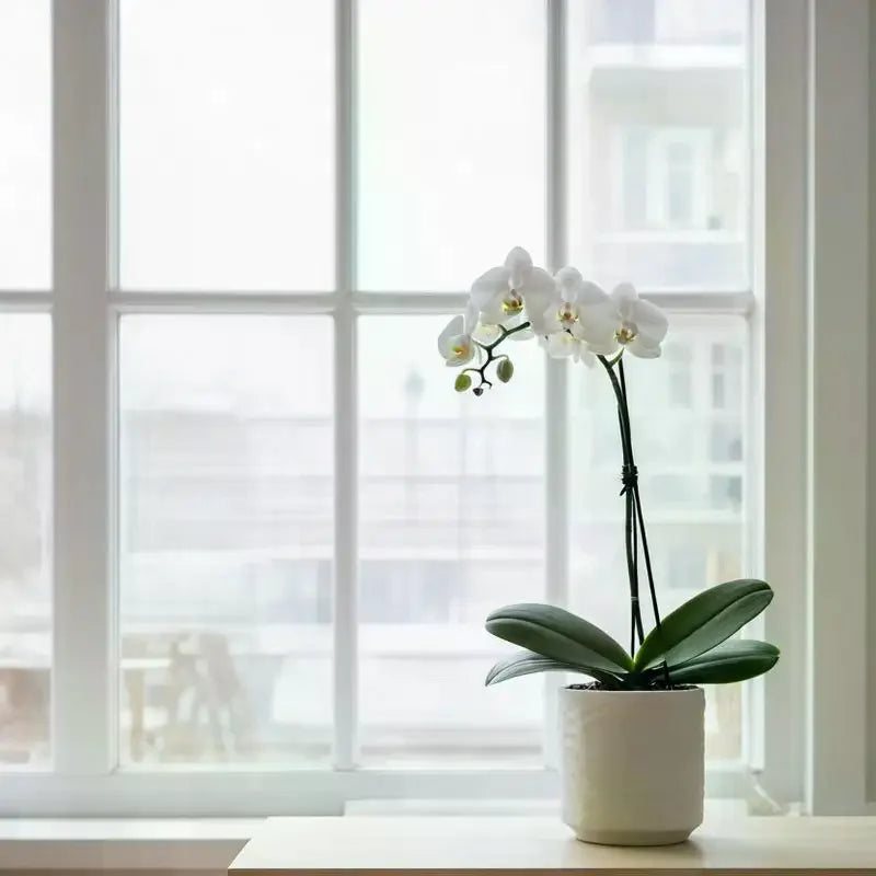 Wave Faux Ceramic Flower Pots for Indoor Plants – Set of 2