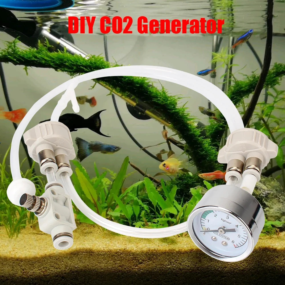 DIY CO2 Generator Kit for Aquarium – Planted Tank CO2 Diffuser
