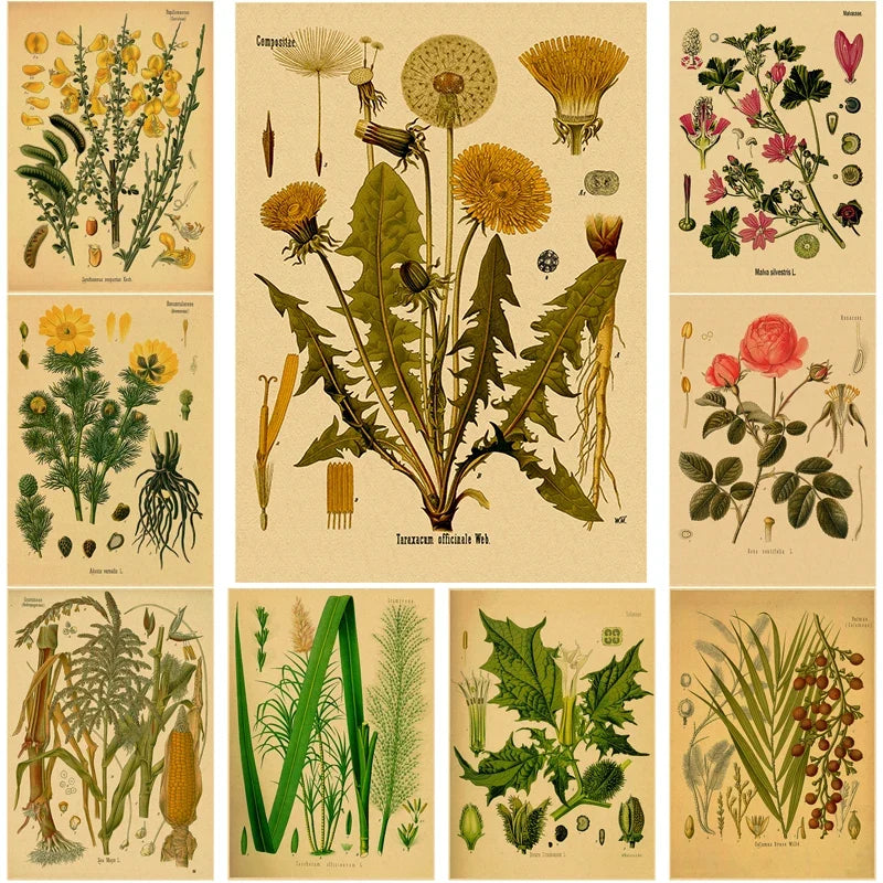 Botanical Medicinal Plants Vintage Kraft Paper Poster | Wall Art