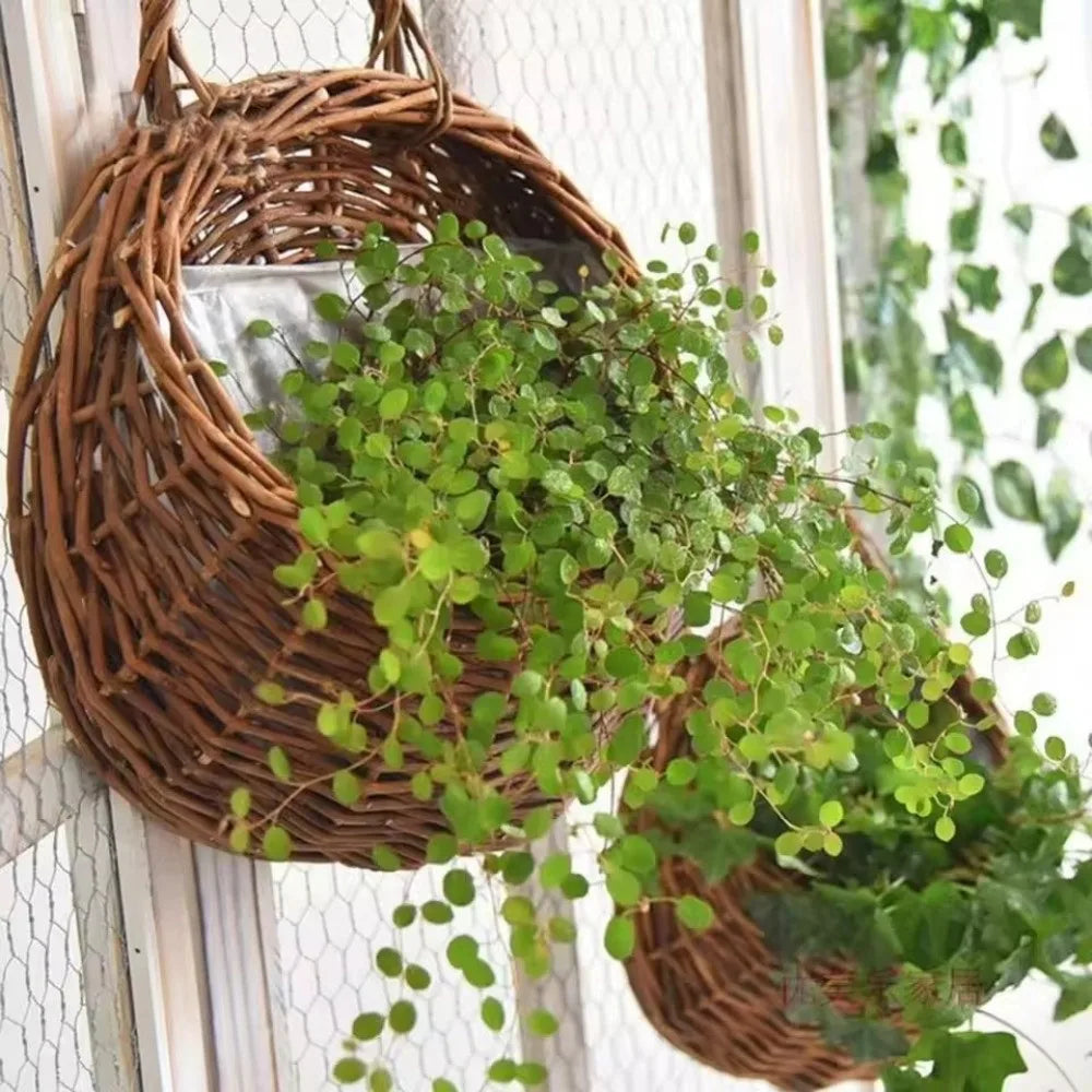 Handmade Wicker Hanging Flower Basket | Wall Planter S/M/L