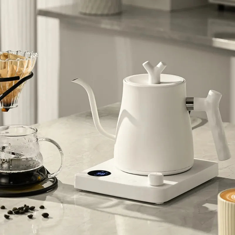 1000W Gooseneck Electric Kettle 1L | LED Temp Control, Stainless