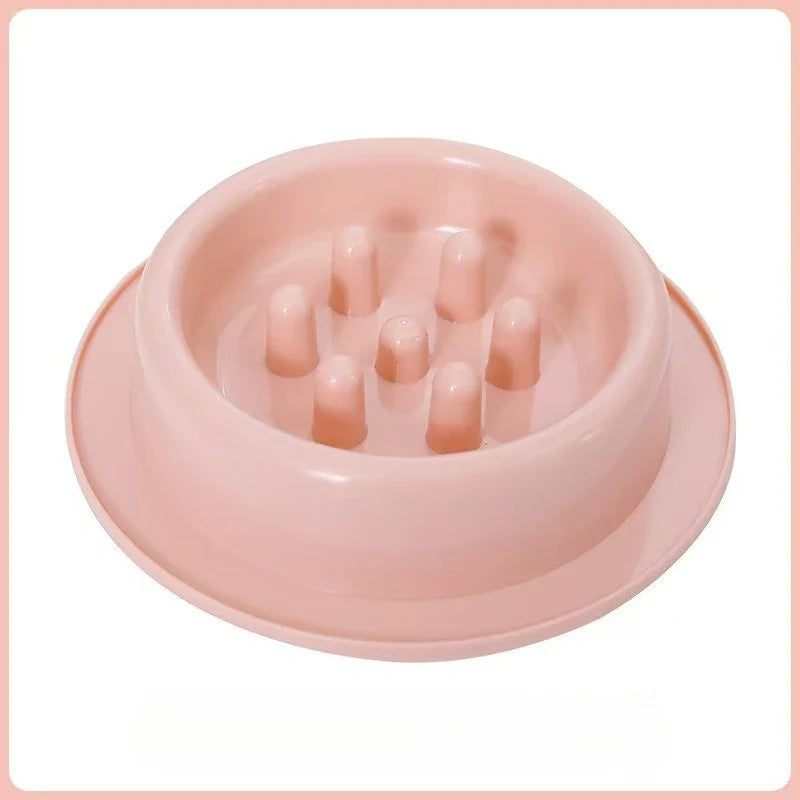 Elevated Anti-Knock Cat & Dog Bowl | High Foot Pet Feeder