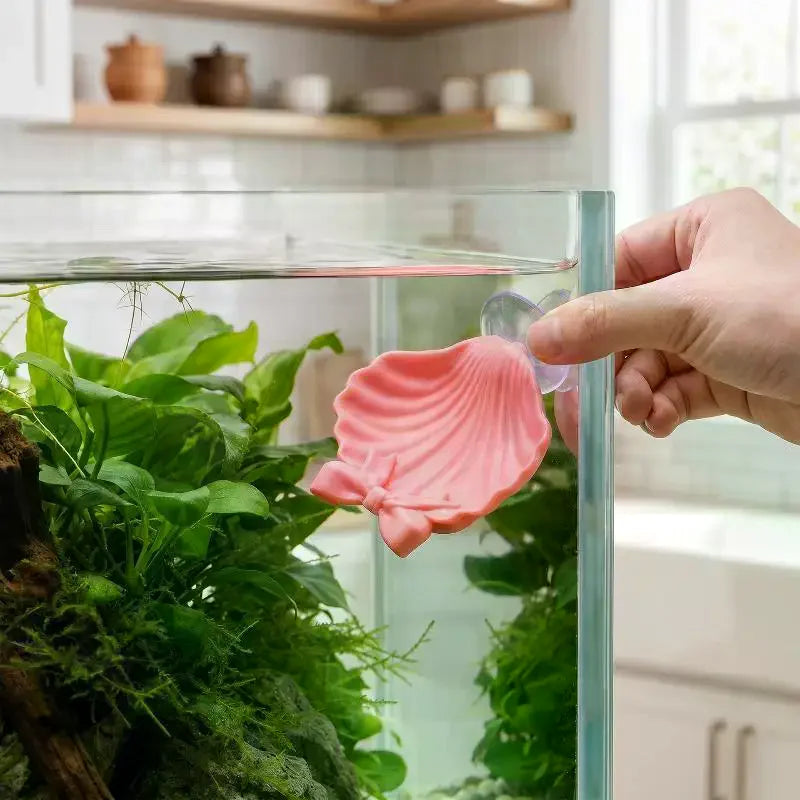 Shell-Shaped Betta Feeding Dish with Suction Cup | Fish Tank