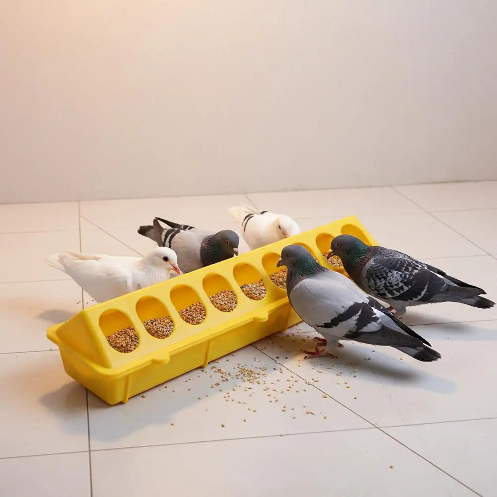 Automatic Chicken Feeder & Waterer – 16-Hole Poultry Dispenser