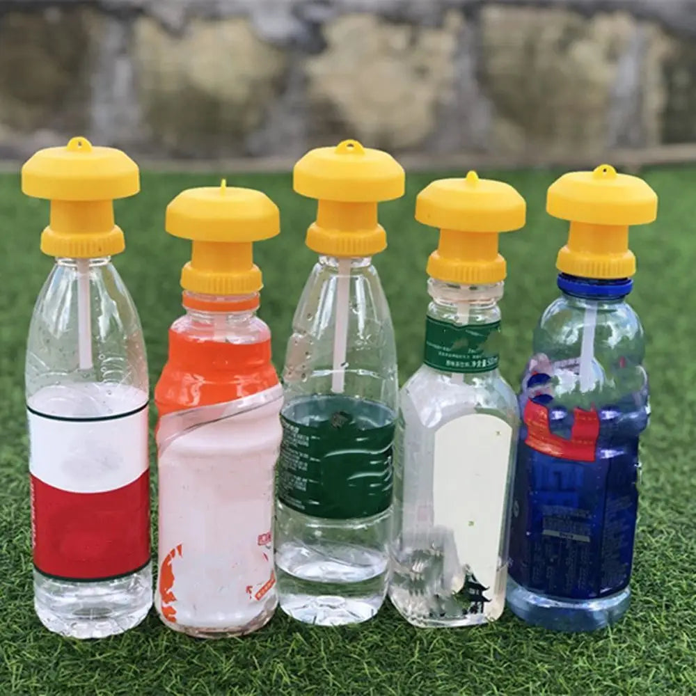 10-Pack Yellow Sticky Fruit Fly Traps | Hanging Insect Catchers