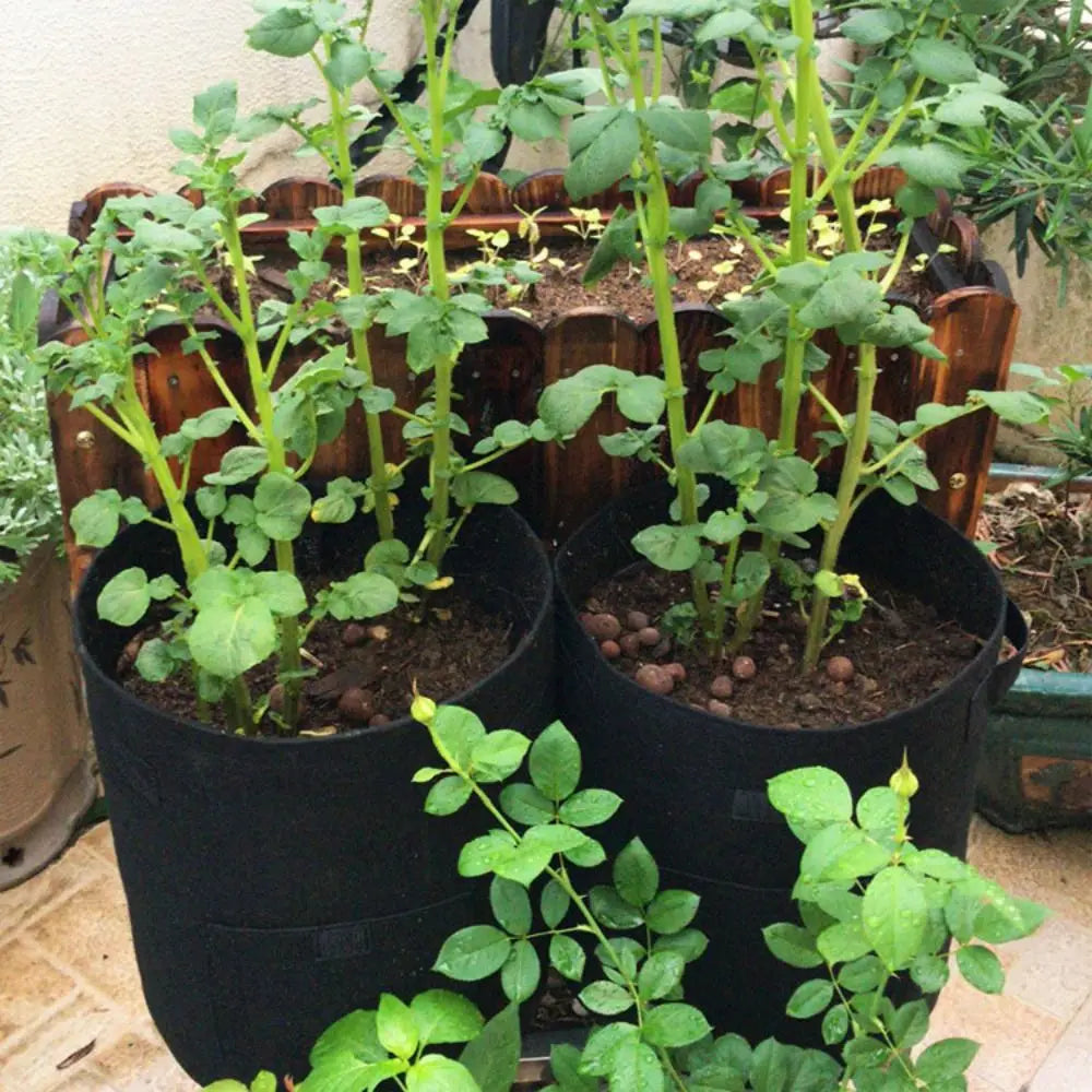 Fabric Potato Grow Bags | Harvest Flap & Handles – 4/7/10 Gal