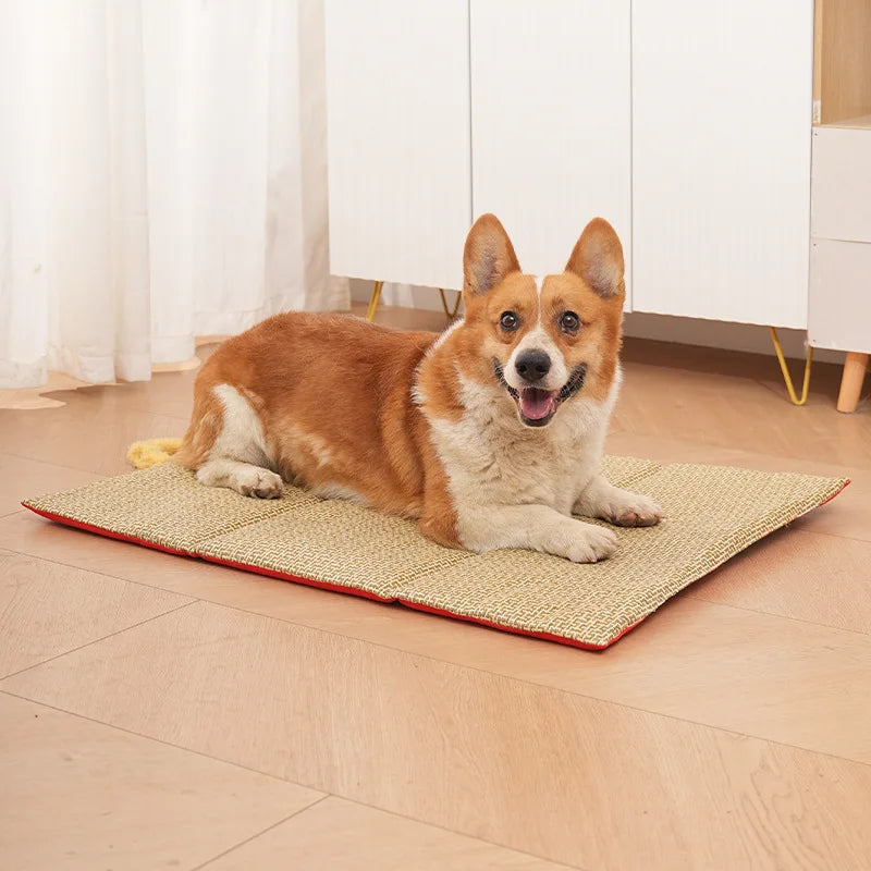 Four-season Pet Mat Double-sided Dog Waterproof Anti-slip Small