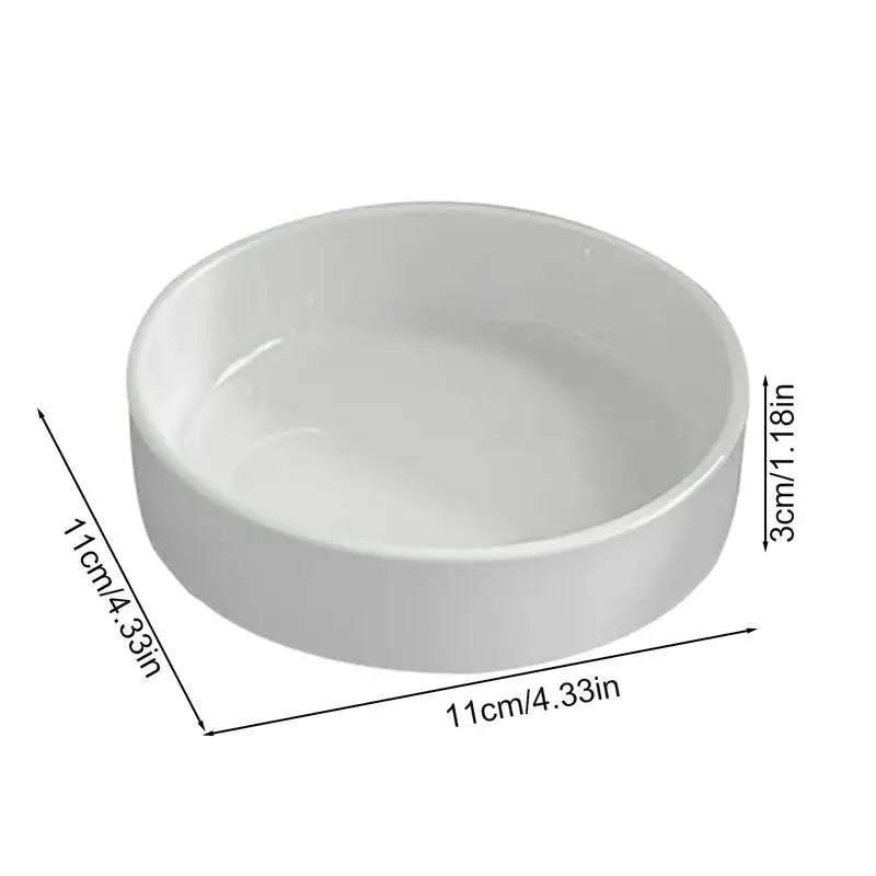 Brazilian Wood Plant Tray Decorative Small Holder Saucer Indoor