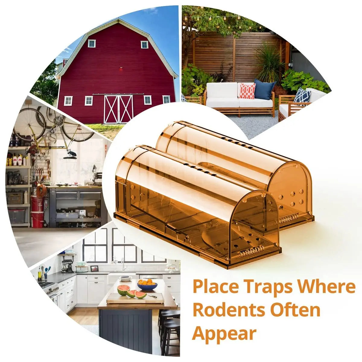 Humane No-Kill Mouse Trap Cage – Reusable Rodent Catcher
