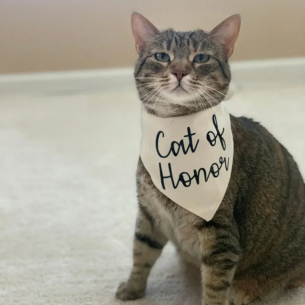 Cat of Honor Wedding Bandana Scarf | Bridal Shower Cat Gift