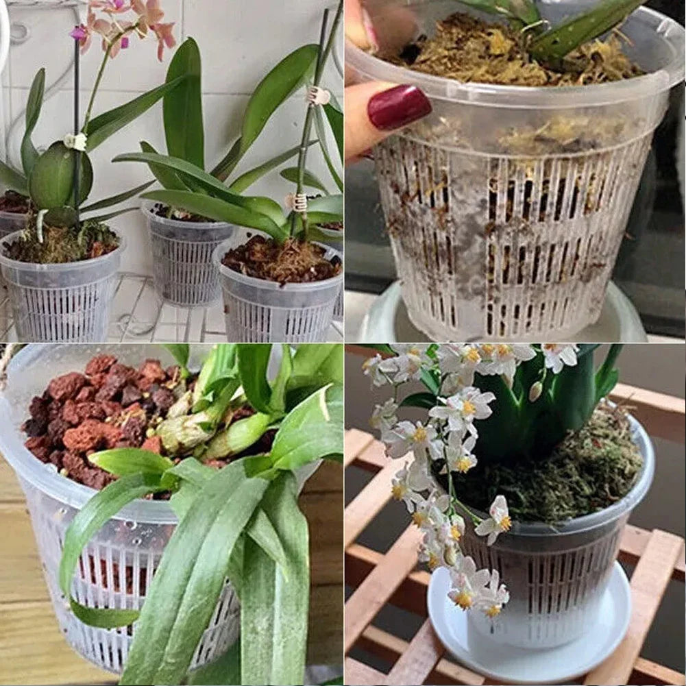 Clear Nursery Pots Garden Planting Pot Orchid Saucers Plastic Flower