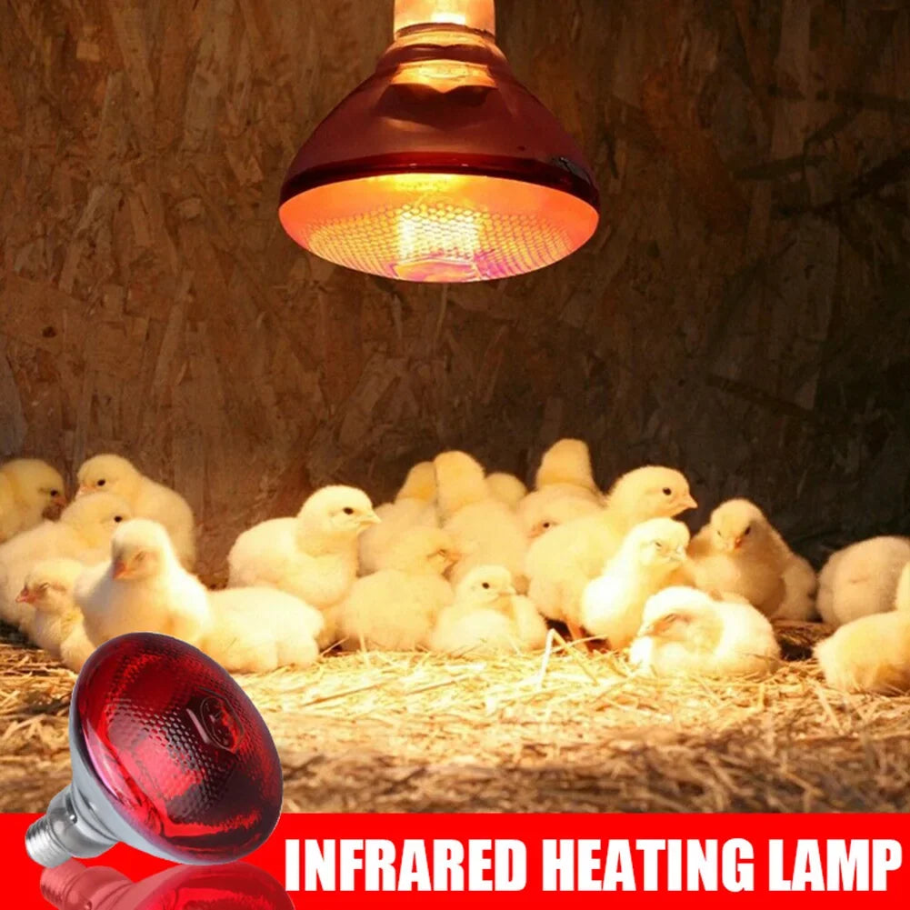 Infrared Heat Lamp 100–275W Quartz Glass E27 Breeding Bulb