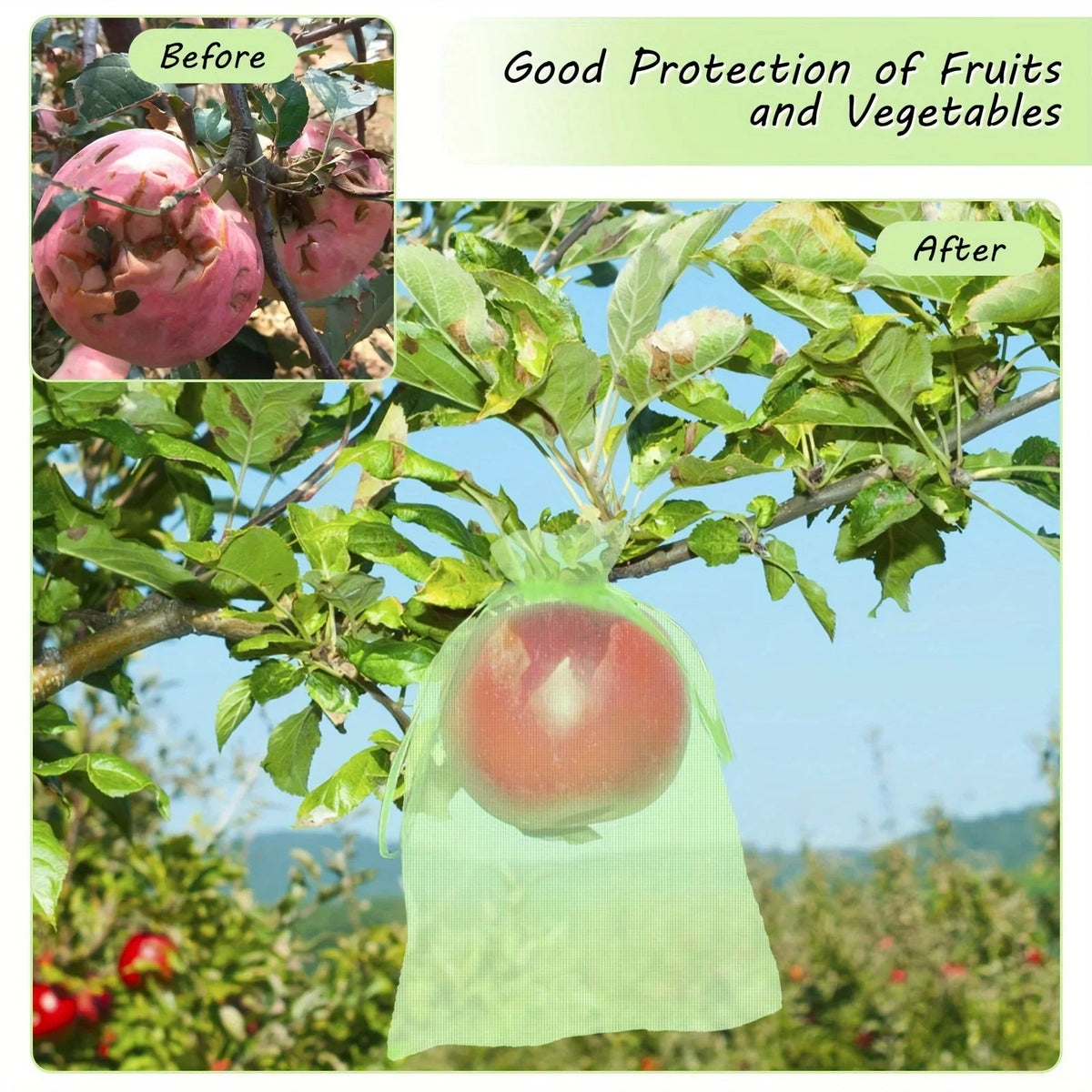 10-Pack Fruit Protection Netting Bags | Garden Mesh Barrier