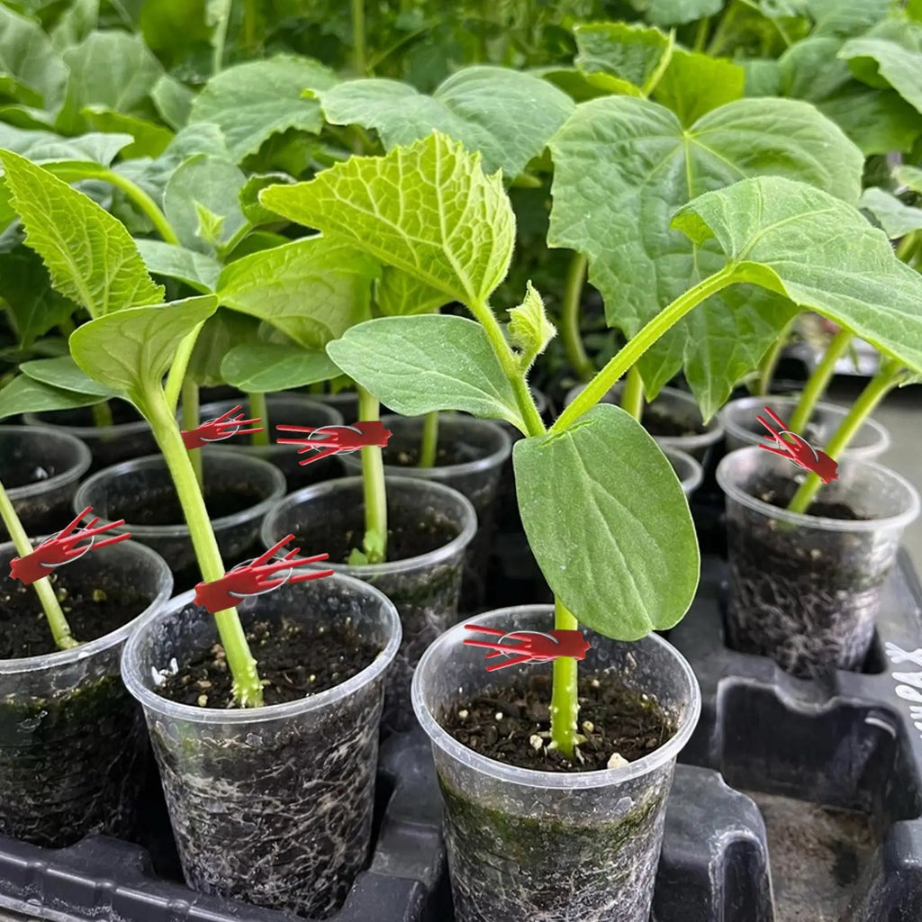 50-Pack Plant Grafting Clips | Vegetable Garden Grafting Tool