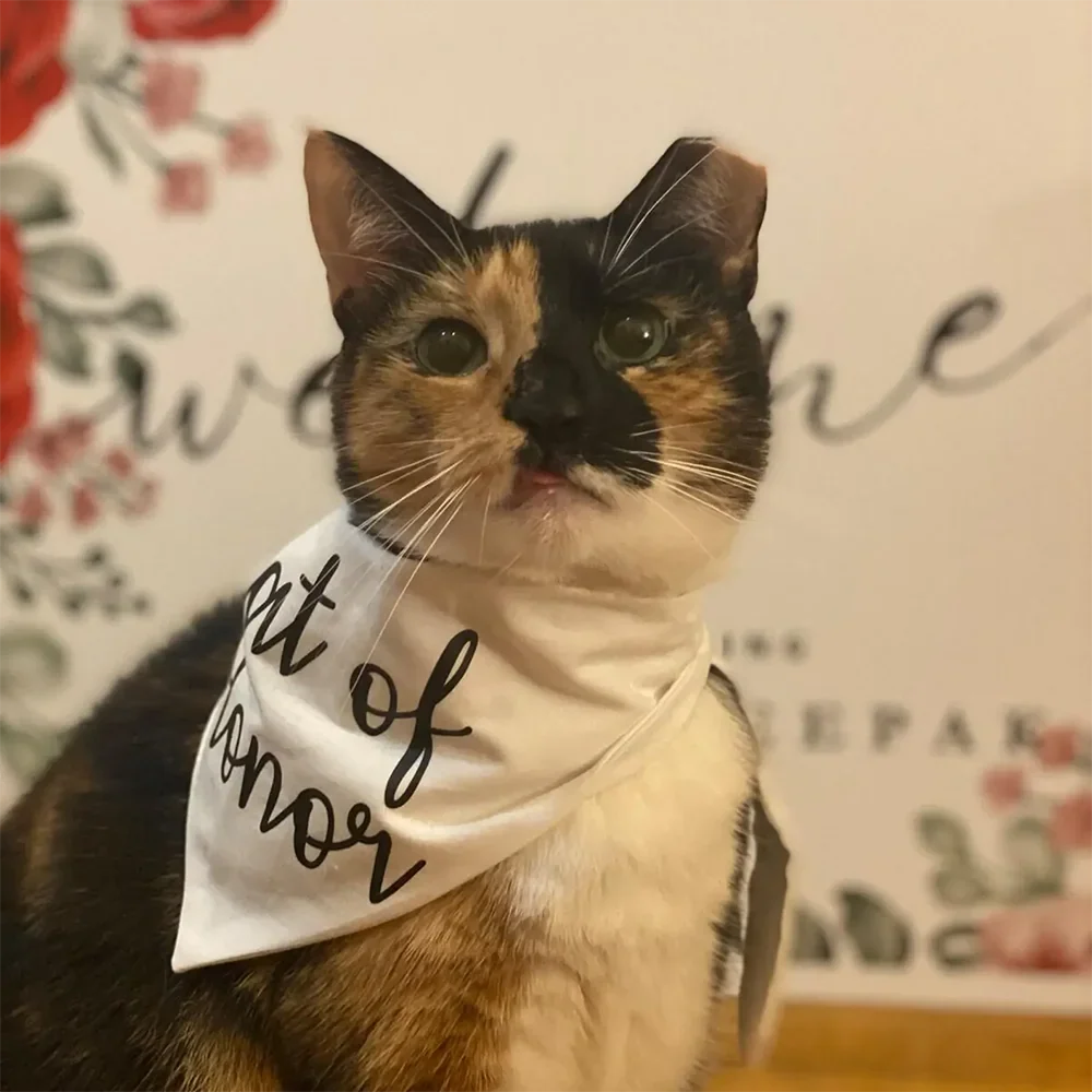Cat of Honor Wedding Bandana Scarf | Bridal Shower Cat Gift