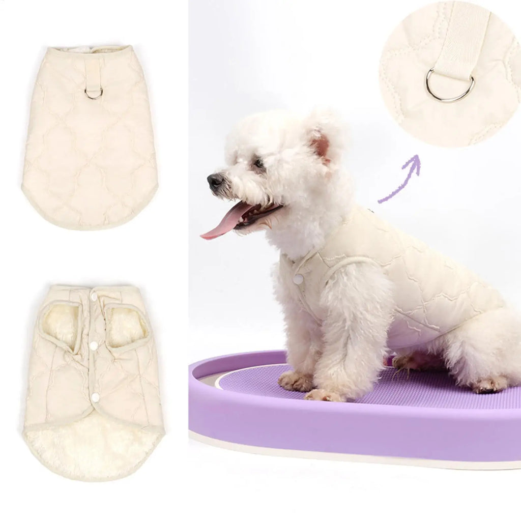 Windproof Insulated Dog & Cat Winter Coat | Pet Jacket