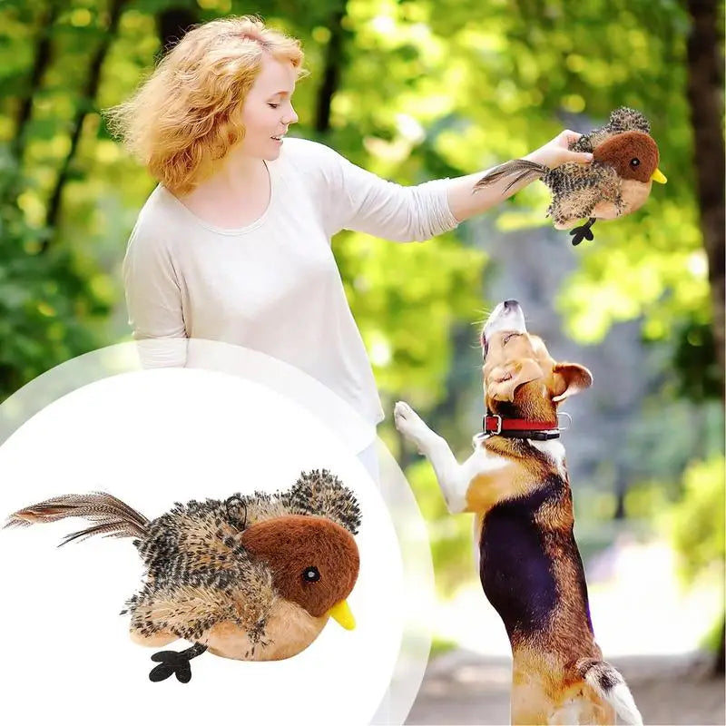 Interactive Flapping Bird Cat Toy | Remote Control & USB