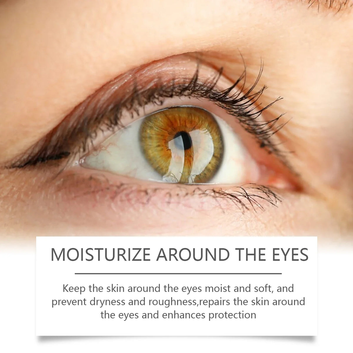 Hoygi Bee Venom Eye Cream – Dark Circles & Firming