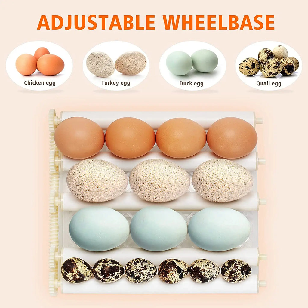 16-Egg Digital Automatic Egg Incubator with Auto Turner