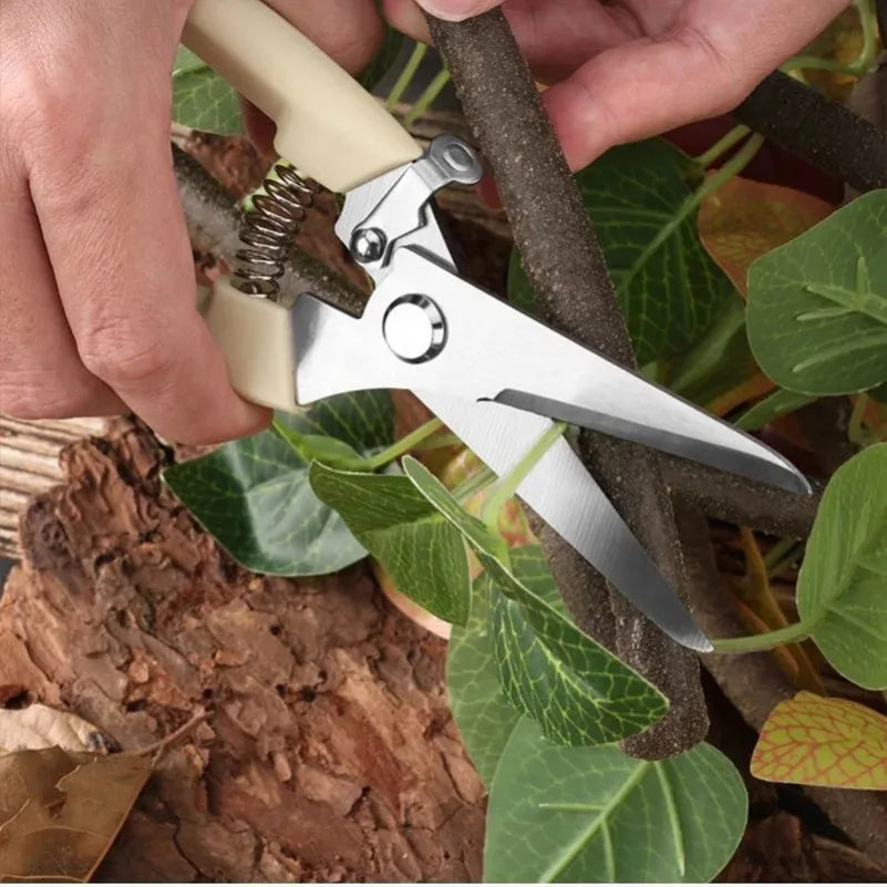 Stainless Steel Pruning Scissors – Flower, Garden & Grafting