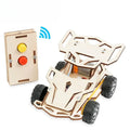 DIY Wooden RC Car Kit – STEM Science Toy for Kids 14+