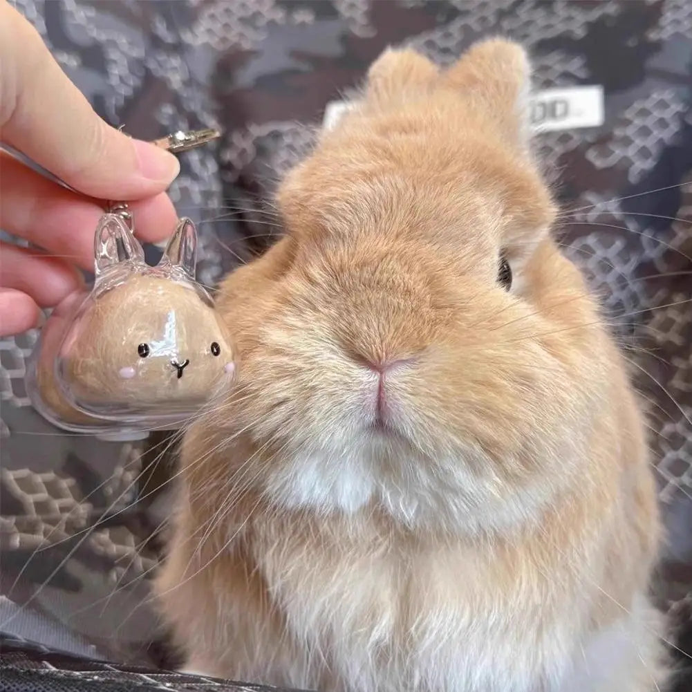 Rabbit Pet Fur Keepsake Capsule Keychain – Transparent Pendant