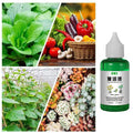 Plant Nutrient Solution 50ml – Organic Liquid Fertilizer for Plants