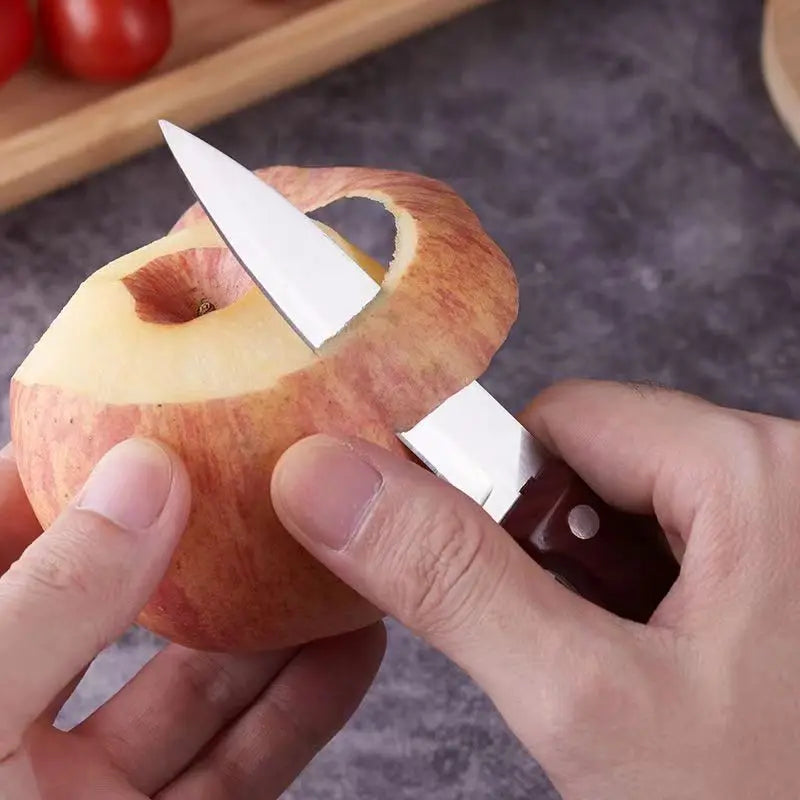Sharp Stainless Steel Paring Knife – Fruit & Kitchen Knife