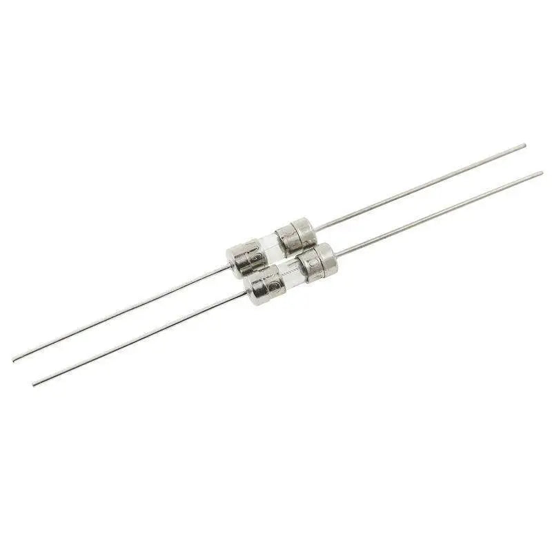 10Kind Lot 3 6 250V Double Pin Fast Blow Glass Fuse Fith Lead Wire