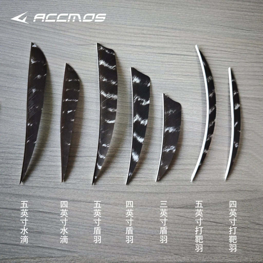 25 RW LW Natural Turkey Archery Arrow Feathers Shield 3 4 Fletching