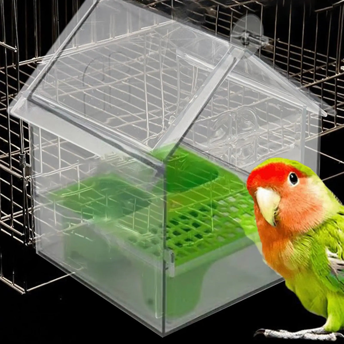 Bird Feeder House Parrot Water Food Dispenser Bathing Tub Pet Lover