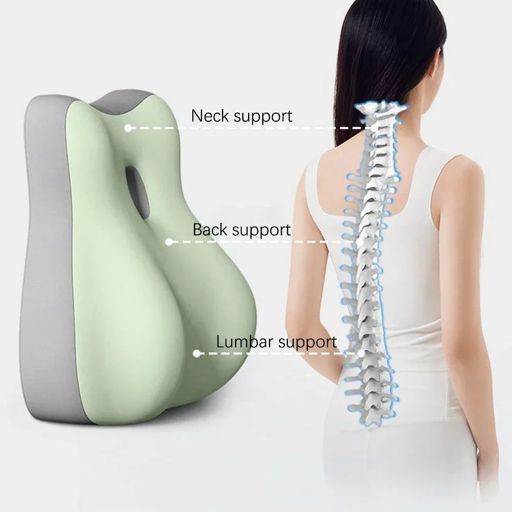 Memory Foam Lumbar Cushion | Ergonomic Back Support Pillow