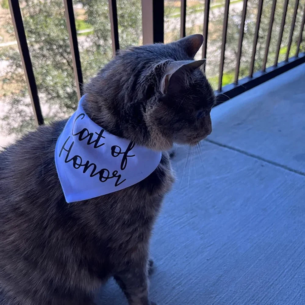 Cat of Honor Wedding Bandana Scarf | Bridal Shower Cat Gift