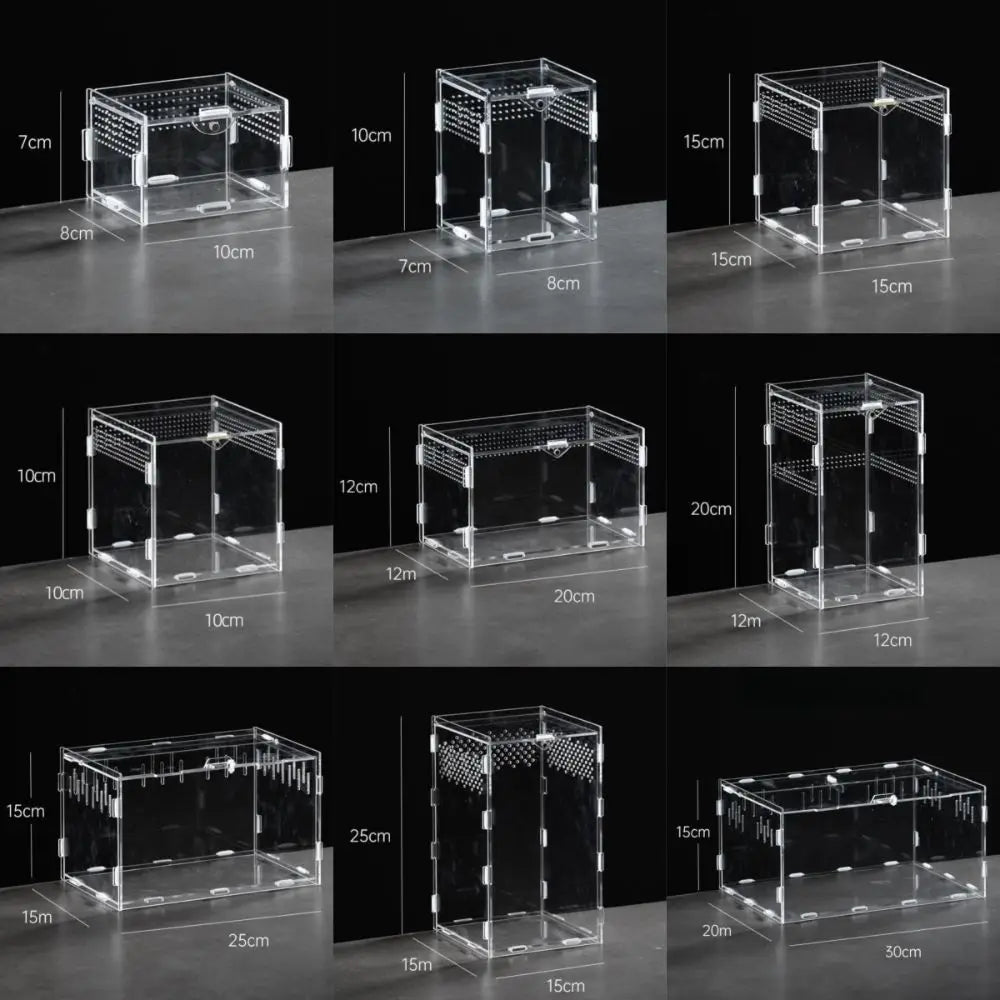 Durable Acrylic Reptile Habitat Clear Multiple Spider Feeding Case