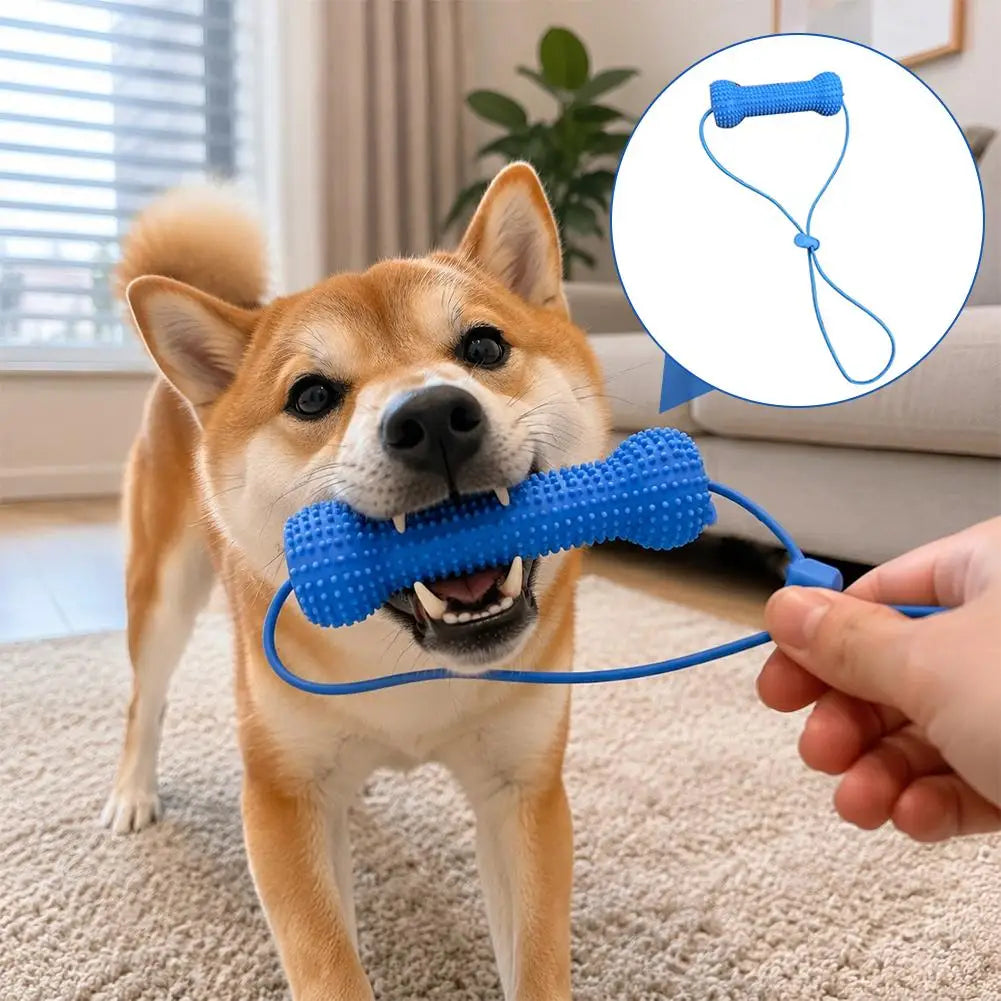 Dog Dental Chew Toy with Rope – TPR Molar Stick for Dogs