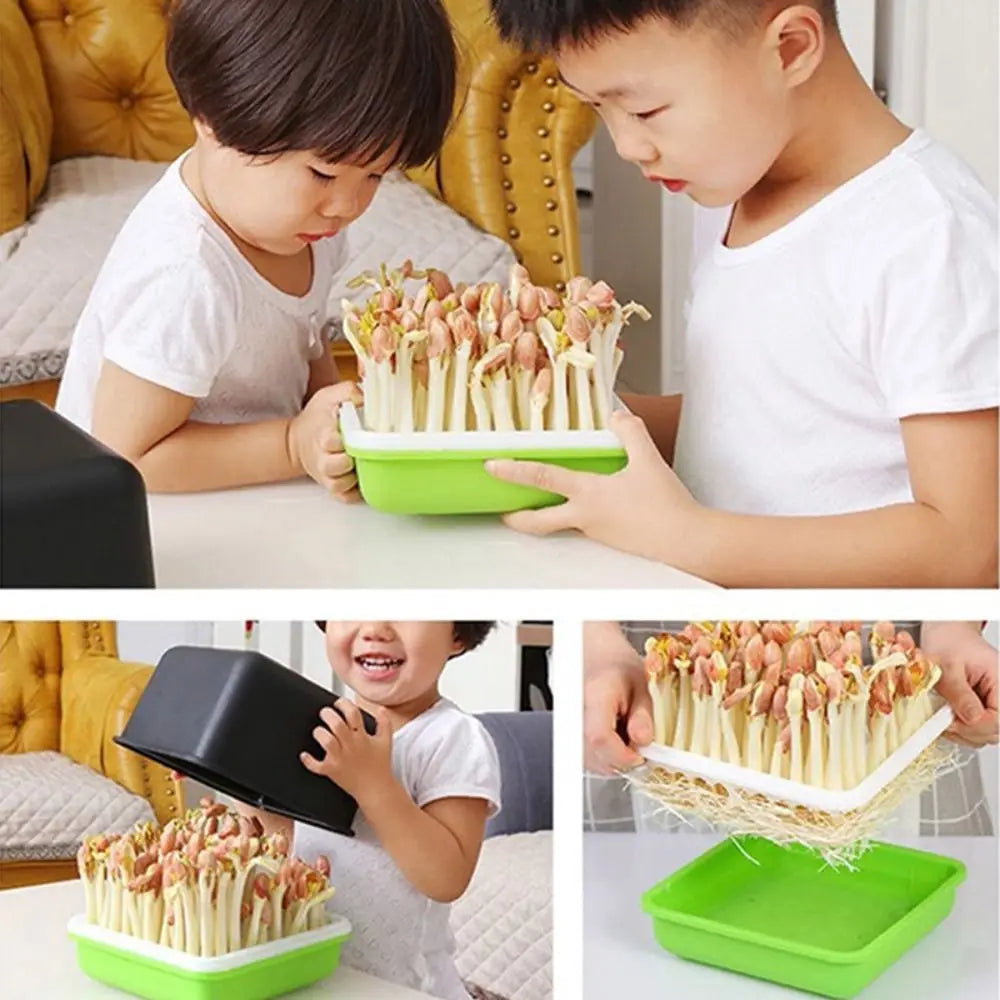 Hydroponic Sprouting Tray – Soilless Seed Germination Kit