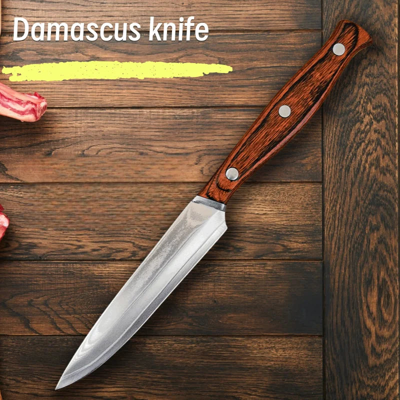 67-Layer Damascus VG10 Paring Knife – Fruit & Steak Knife