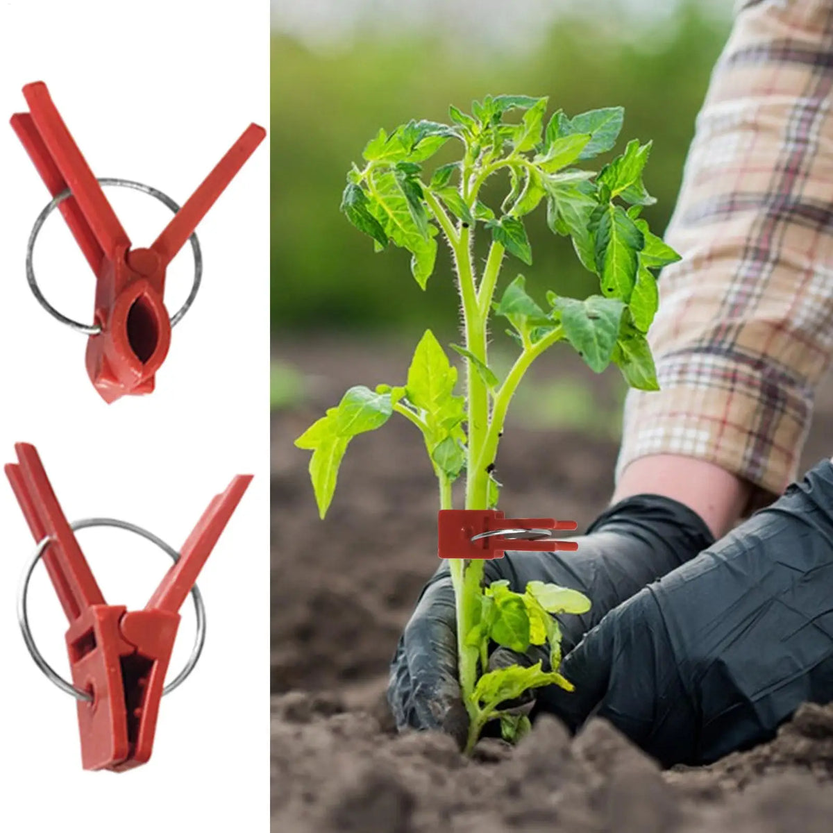 50-Pack Plant Grafting Clips | Vegetable Garden Grafting Tool