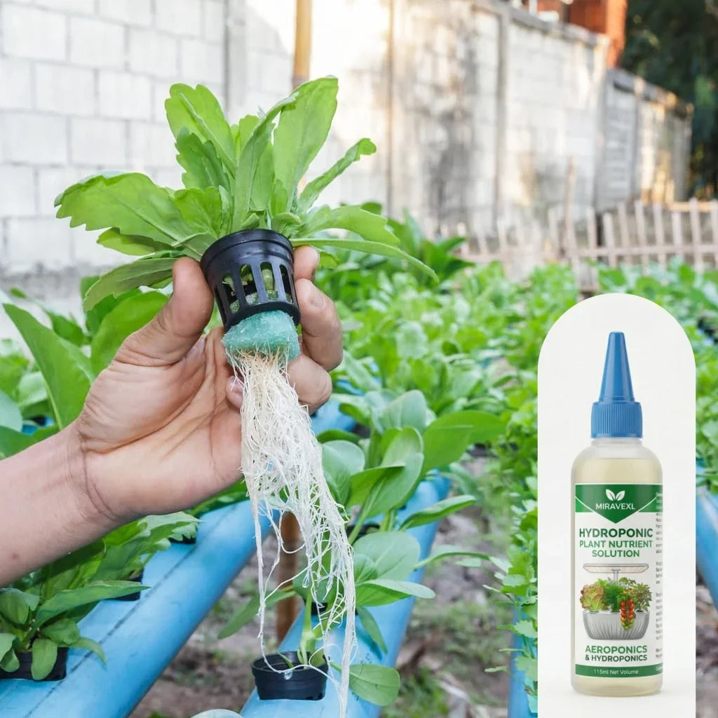 MIRAVEXL Hydroponic Liquid Plant Food 115ml | All-Purpose