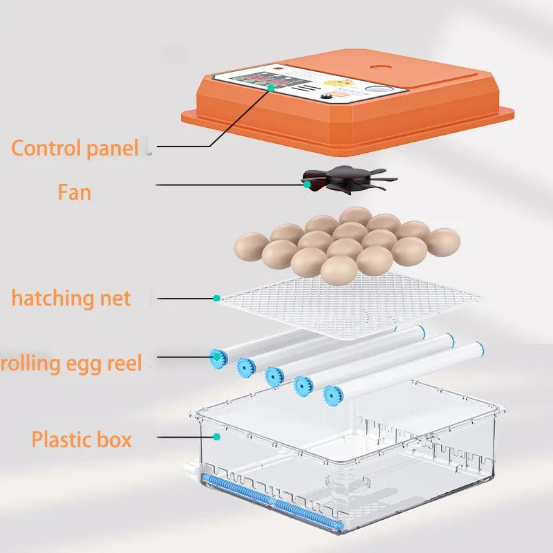 16-Egg Digital Automatic Egg Incubator with Auto Turner